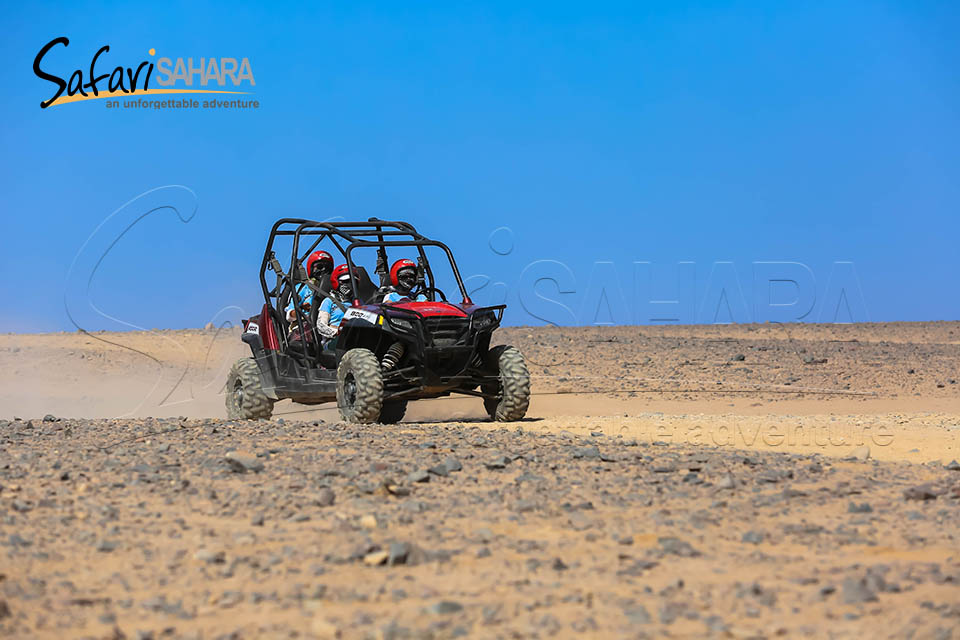Safari matutino en buggy por las dunas Polaris RZR Hurghada
