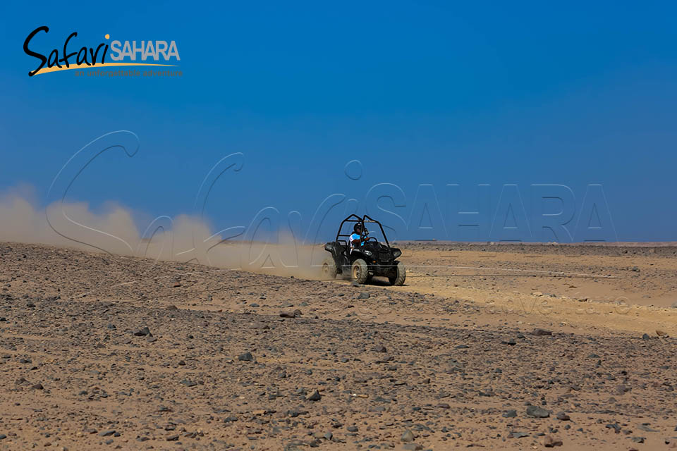 Paseo al atardecer en buggy Polaris RZR en el desierto de Sharm